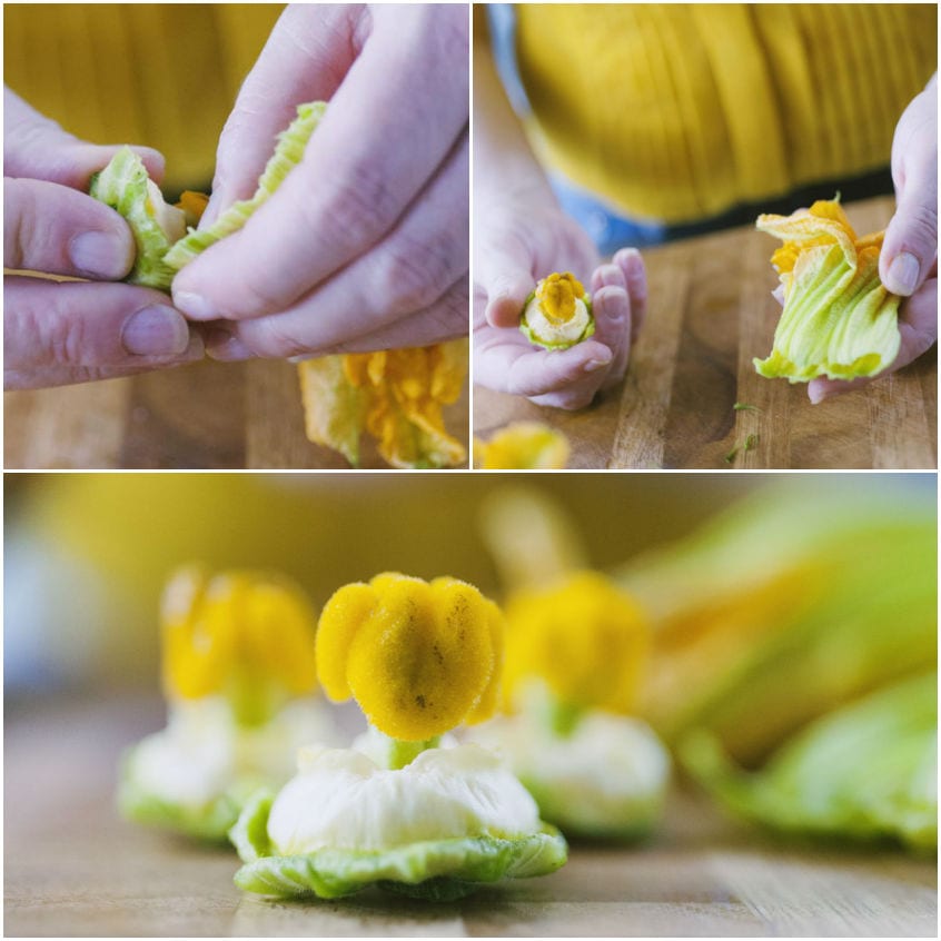 Come pulire i fiori di zucca