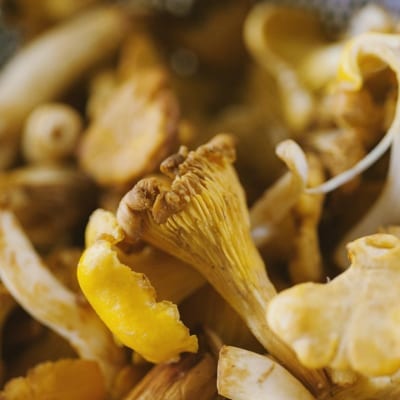 Come pulire i funghi finferli