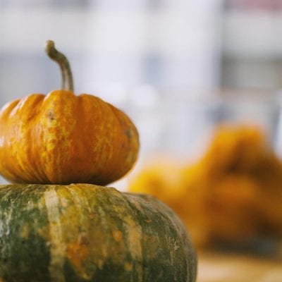 Varieta di zucca