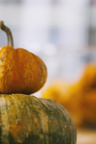 Varieta di zucca