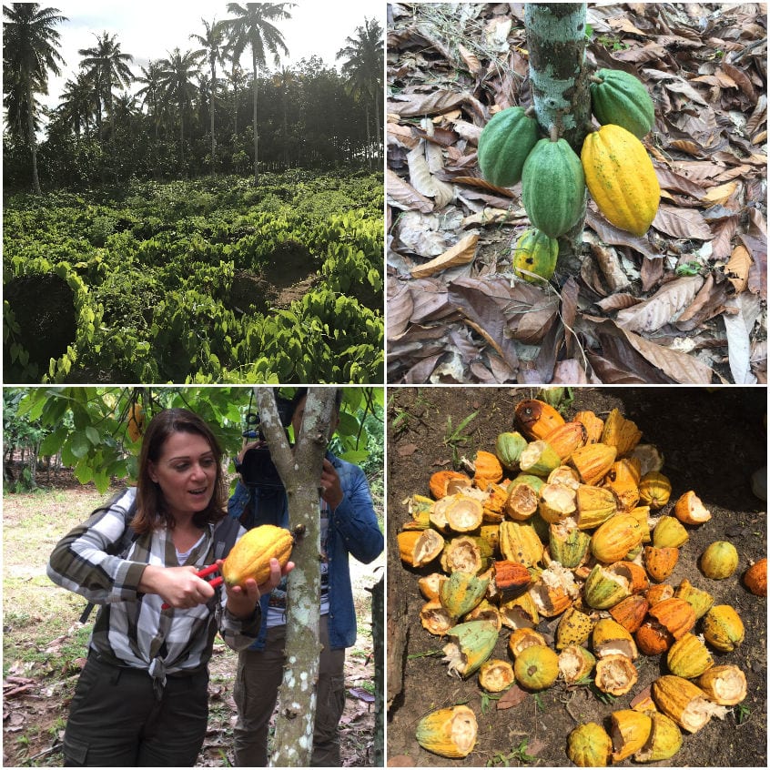 Alla scoperta del cacao: il mio viaggio in Costa d'Avorio