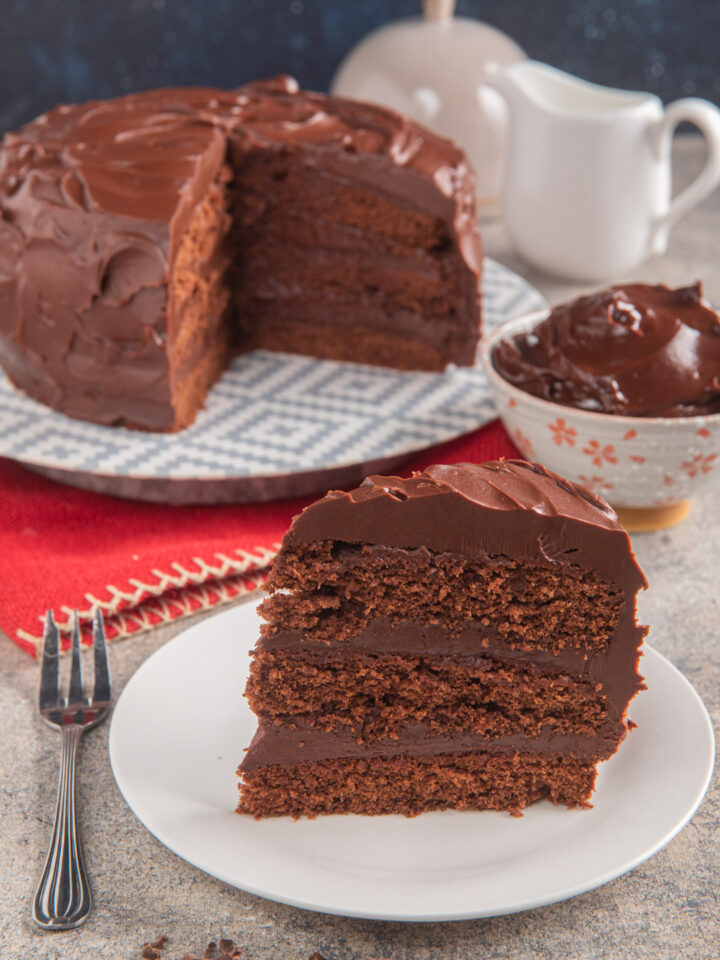 Una torta al cioccolato di origine americana, composta di strati di pan di Spagna al cacao con farcitura e copertura di ganache al cioccolato